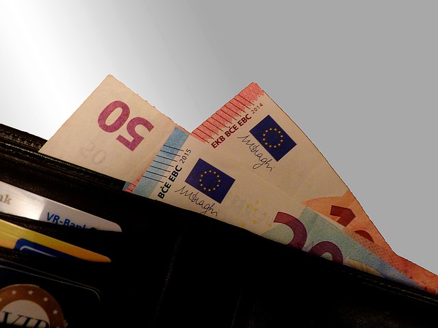 eura v peněžence